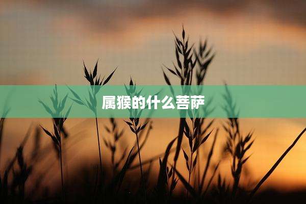 属猴的什么菩萨