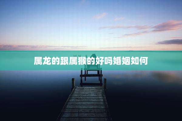 属龙的跟属猴的好吗婚姻如何