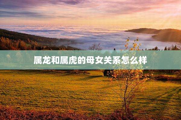 属龙和属虎的母女关系怎么样
