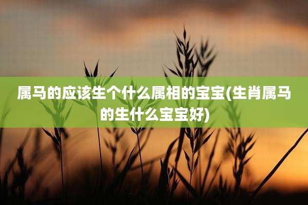 属马的应该生个什么属相的宝宝(生肖属马的生什么宝宝好)