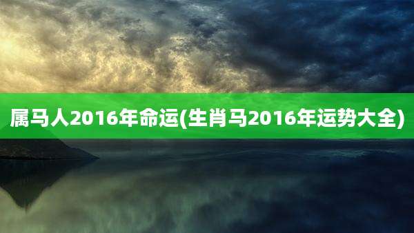 属马人2016年命运(生肖马2016年运势大全)