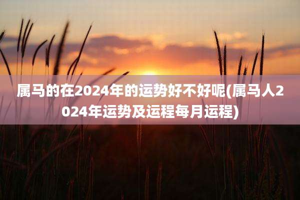 属马的在2024年的运势好不好呢(属马人2024年运势及运程每月运程)