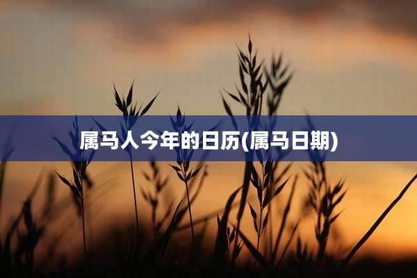 属马人今年的日历(属马日期)