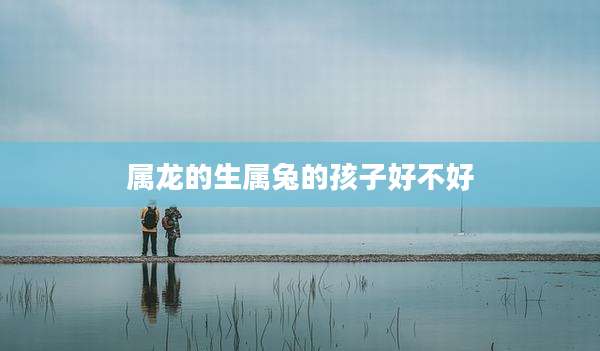 属龙的生属兔的孩子好不好