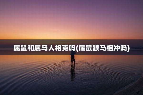 属鼠和属马人相克吗(属鼠跟马相冲吗)