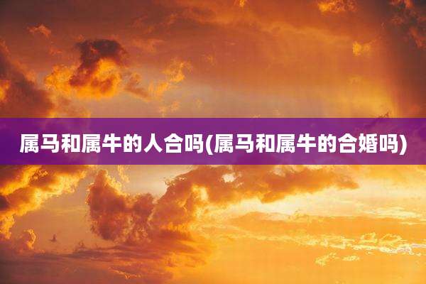 属马和属牛的人合吗(属马和属牛的合婚吗)