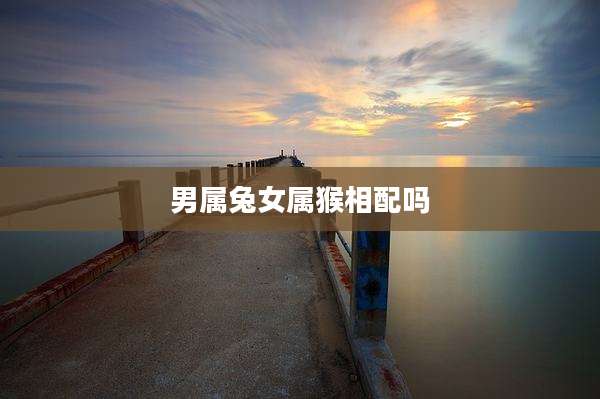 男属兔女属猴相配吗