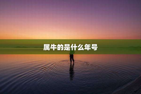 属牛的是什么年号