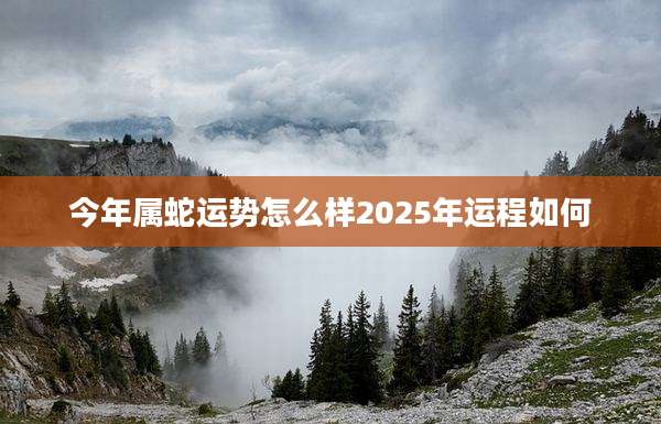 今年属蛇运势怎么样2025年运程如何
