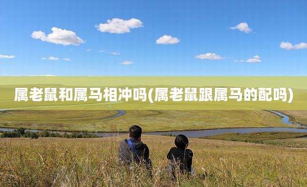 属老鼠和属马相冲吗(属老鼠跟属马的配吗)