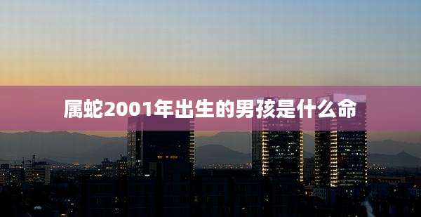 属蛇2001年出生的男孩是什么命