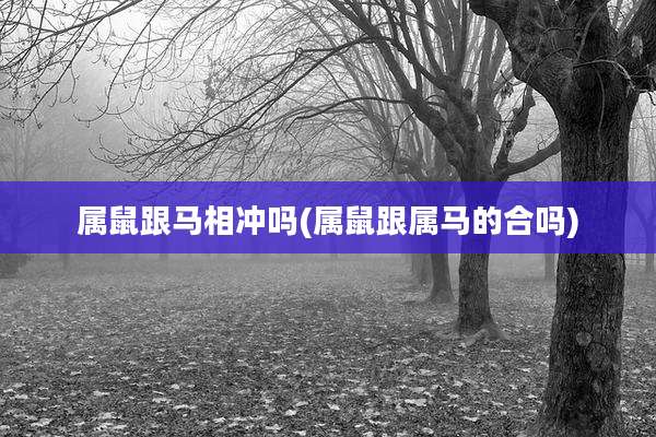 属鼠跟马相冲吗(属鼠跟属马的合吗)