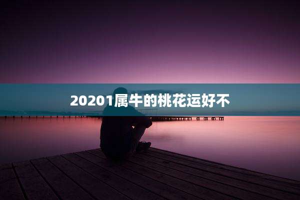 20201属牛的桃花运好不