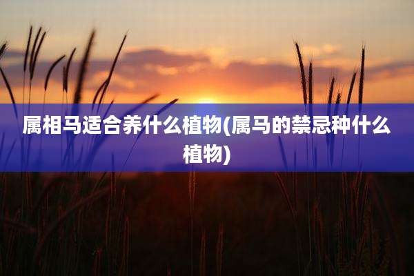 属相马适合养什么植物(属马的禁忌种什么植物)