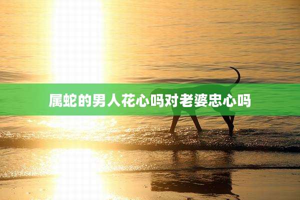 属蛇的男人花心吗对老婆忠心吗