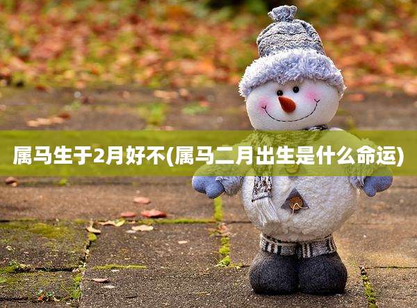属马生于2月好不(属马二月出生是什么命运)
