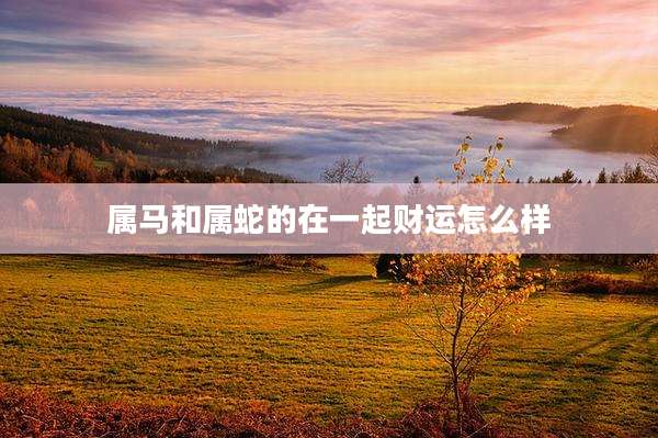 属马和属蛇的在一起财运怎么样