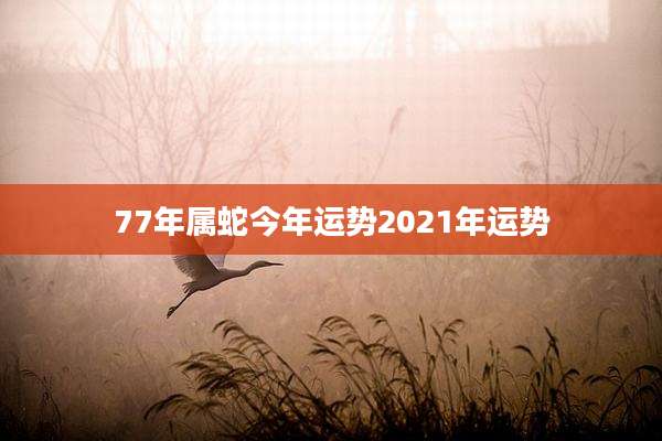 77年属蛇今年运势2021年运势