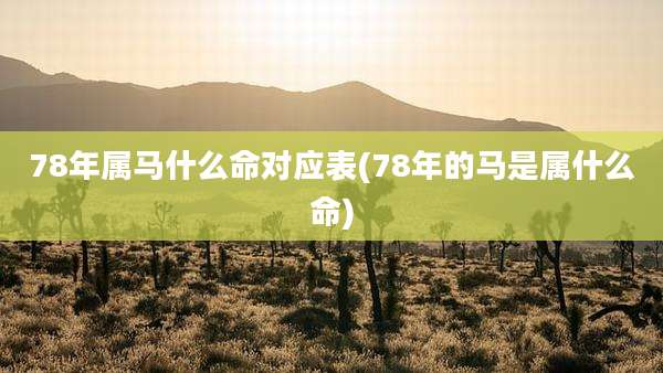 78年属马什么命对应表(78年的马是属什么命)