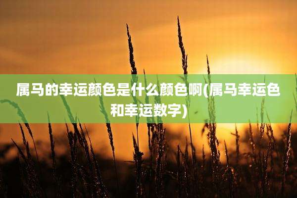 属马的幸运颜色是什么颜色啊(属马幸运色和幸运数字)