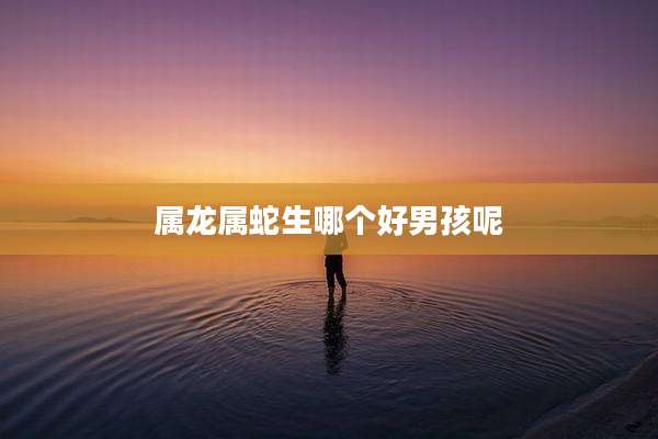 属龙属蛇生哪个好男孩呢