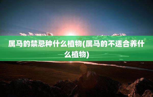 属马的禁忌种什么植物(属马的不适合养什么植物)