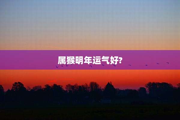 属猴明年运气好?