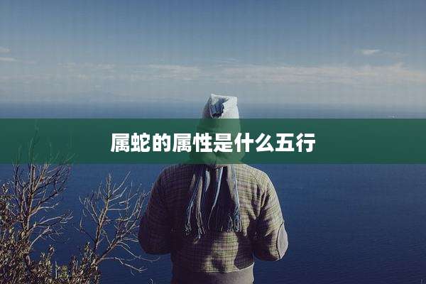 属蛇的属性是什么五行