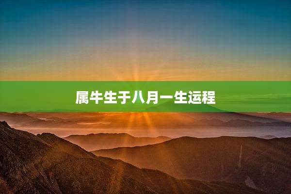 属牛生于八月一生运程