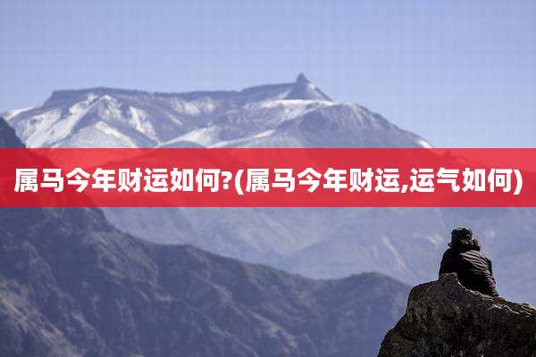 属马今年财运如何?(属马今年财运,运气如何)