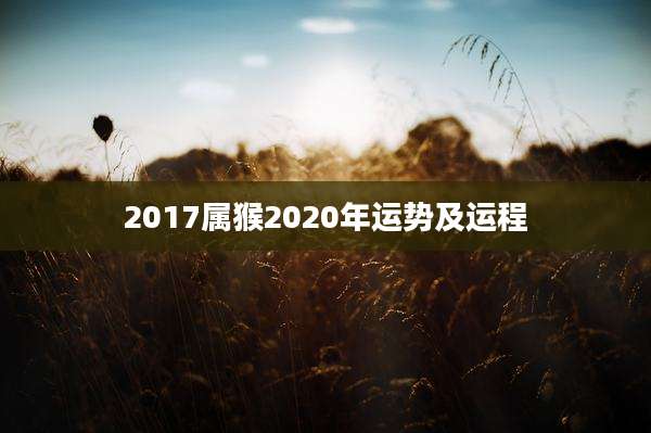 2017属猴2020年运势及运程