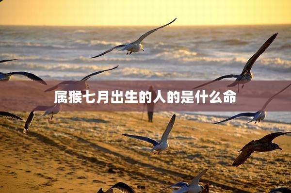 属猴七月出生的人的是什么命