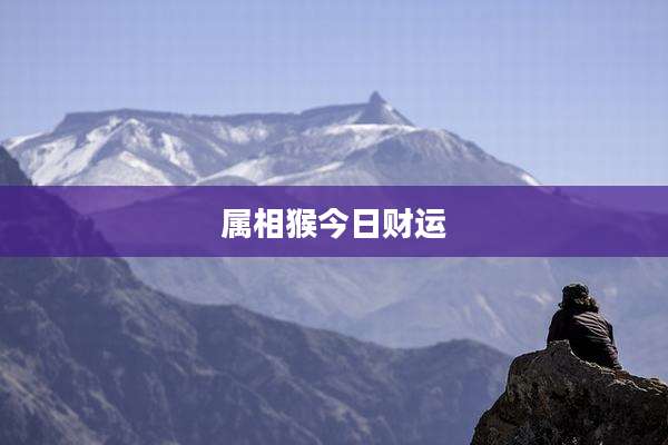 属相猴今日财运