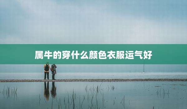 属牛的穿什么颜色衣服运气好