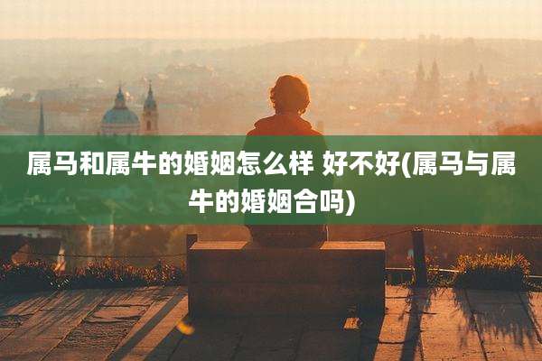 属马和属牛的婚姻怎么样 好不好(属马与属牛的婚姻合吗)