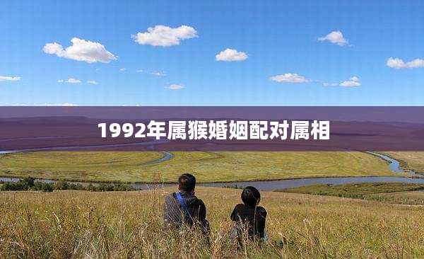 1992年属猴婚姻配对属相