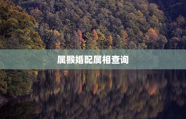 属猴婚配属相查询