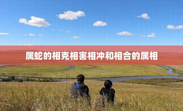 属蛇的相克相害相冲和相合的属相