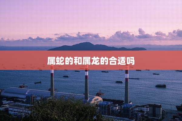 属蛇的和属龙的合适吗