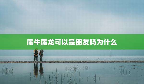 属牛属龙可以是朋友吗为什么