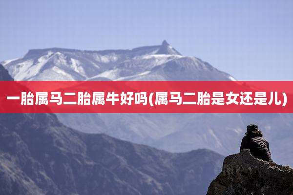 一胎属马二胎属牛好吗(属马二胎是女还是儿)
