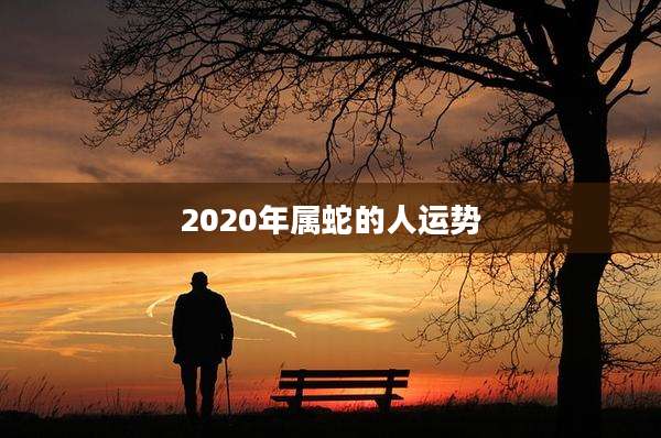 2020年属蛇的人运势