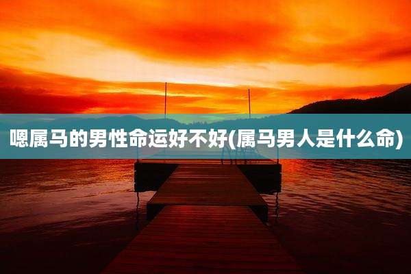 嗯属马的男性命运好不好(属马男人是什么命)