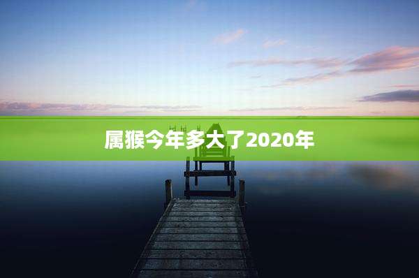 属猴今年多大了2020年