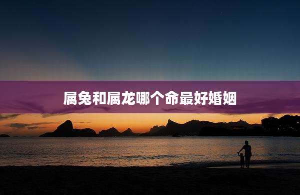 属兔和属龙哪个命最好婚姻