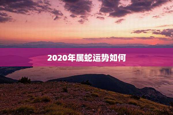 2020年属蛇运势如何