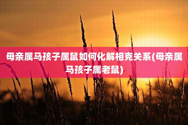 母亲属马孩子属鼠如何化解相克关系(母亲属马孩子属老鼠)