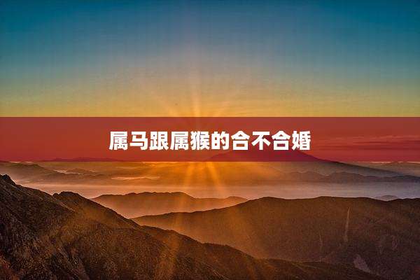 属马跟属猴的合不合婚
