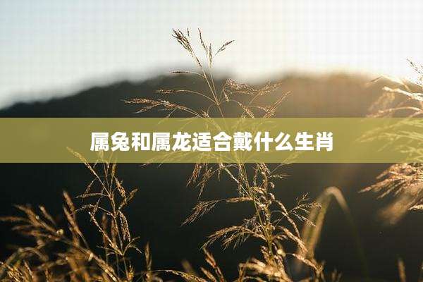 属兔和属龙适合戴什么生肖