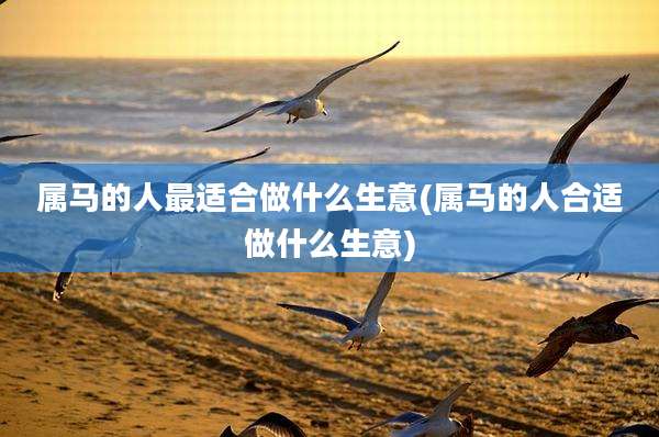 属马的人最适合做什么生意(属马的人合适做什么生意)